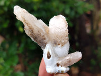 Natural Drusy Quartz Coated Calcite Pseudomorph Specimens x 24 From Alberts Mountain, Lesotho