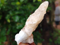 Natural Drusy Quartz Coated Calcite Pseudomorph Specimens x 24 From Alberts Mountain, Lesotho