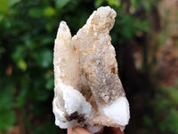 Natural Drusy Quartz Coated Calcite Pseudomorph Specimens x 24 From Alberts Mountain, Lesotho