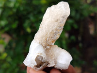 Natural Drusy Quartz Coated Calcite Pseudomorph Specimens x 24 From Alberts Mountain, Lesotho