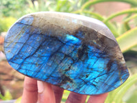 Polished Labradorite Standing Free Forms x 3 From Tulear, Madagascar