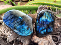 Polished Labradorite Standing Free Forms x 3 From Tulear, Madagascar