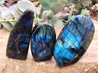 Polished Labradorite Standing Free Forms x 3 From Tulear, Madagascar