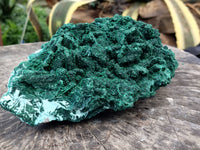 Natural Malachite With Chrysocolla Specimen x 1 From Congo