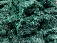 Natural Malachite With Chrysocolla Specimen x 1 From Congo