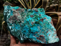 Natural Malachite With Chrysocolla Specimen x 1 From Congo