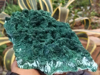 Natural Malachite With Chrysocolla Specimen x 1 From Congo