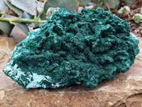 Natural Malachite With Chrysocolla Specimen x 1 From Congo