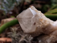 Natural Smokey Phantom Quartz Clusters x 6 From Luena, Congo