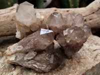 Natural Smokey Phantom Quartz Clusters x 6 From Luena, Congo