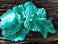 Polished Malacolla Slices x 5 From Kalukundi Mine, Congo