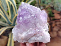 Natural Jacaranda Amethyst Quartz Clusters x 10 from Mumbwa, Zambia