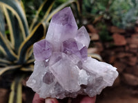 Natural Jacaranda Amethyst Quartz Clusters x 10 from Mumbwa, Zambia