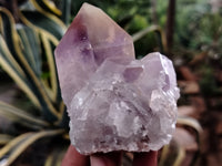 Natural Jacaranda Amethyst Quartz Clusters x 10 from Mumbwa, Zambia