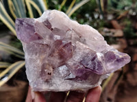 Natural Jacaranda Amethyst Quartz Clusters x 10 from Mumbwa, Zambia