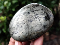 Polished Pharaoh Stone Free Forms x 4 From Zimbabwe