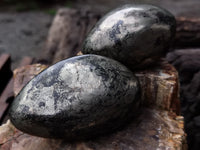 Polished Pharaoh Stone Free Forms x 4 From Zimbabwe