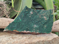 Natural Botryoidal Malachite Specimen x 1 From Congo