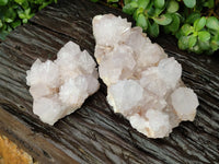 Natural Cactus Flower Spirit Quartz Clusters x 2 From South Africa