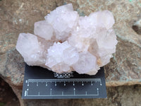 Natural Cactus Flower Spirit Quartz Clusters x 2 From South Africa