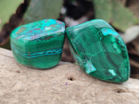 Polished Malacolla Free Forms x 24 From Kalukundi Mine, Congo