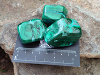 Polished Malacolla Free Forms x 24 From Kalukundi Mine, Congo