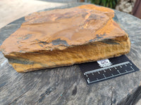 Polished On One Side Tiger's Eye Slabs x 2 From Prieska, South Africa