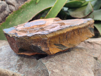 Polished On One Side Tiger's Eye Slabs x 2 From Prieska, South Africa