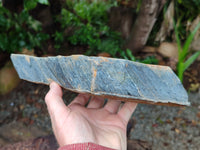 Polished On One Side Tiger's Eye Slabs x 2 From Prieska, South Africa