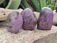 Polished Stichtite Standing Free Forms x 3 From Barberton, South Africa