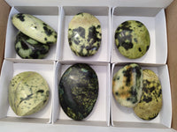 Polished Leopard Stone Free Forms x 8 From Zimbabwe