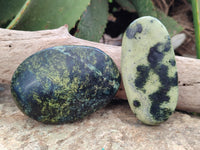 Polished Leopard Stone Free Forms x 8 From Zimbabwe