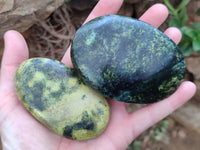 Polished Leopard Stone Free Forms x 8 From Zimbabwe