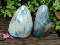 Polished Blue Spinel Spotted Quartz Standing Free Forms x 2 From Madagascar