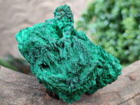 Natural Silky Malachite Specimens x 6 From Kasompe, Congo