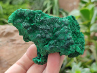 Natural Silky Malachite Specimens x 6 From Kasompe, Congo