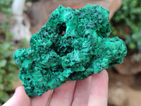 Natural Silky Malachite Specimens x 6 From Kasompe, Congo