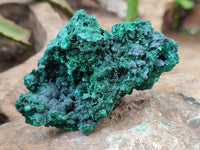 Natural Silky Malachite Specimens x 6 From Kasompe, Congo