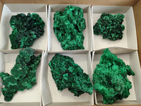 Natural Silky Malachite Specimens x 6 From Kasompe, Congo