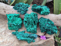 Natural Silky Malachite Specimens x 6 From Kasompe, Congo