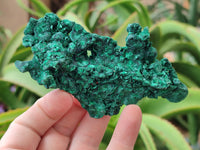 Natural Silky Malachite Specimens x 6 From Kasompe, Congo