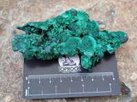 Natural Silky Malachite Specimens x 6 From Kasompe, Congo