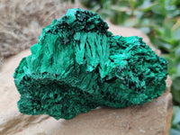 Natural Silky Malachite Specimens x 6 From Kasompe, Congo