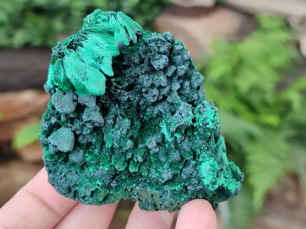 Natural Silky Malachite Specimens x 6 From Kasompe, Congo