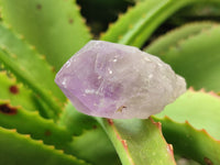 Natural Jacaranda Amethyst Single Quartz Crystals x 24 from Mumbwa, Zambia