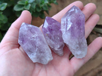 Natural Jacaranda Amethyst Single Quartz Crystals x 24 from Mumbwa, Zambia