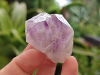 Natural Jacaranda Amethyst Single Quartz Crystals x 24 from Mumbwa, Zambia