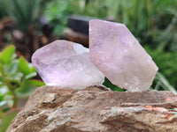 Natural Jacaranda Amethyst Single Quartz Crystals x 24 from Mumbwa, Zambia