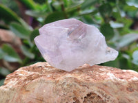 Natural Jacaranda Amethyst Single Quartz Crystals x 24 from Mumbwa, Zambia