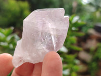 Natural Jacaranda Amethyst Single Quartz Crystals x 24 from Mumbwa, Zambia